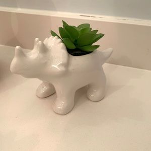 Dino succulent room decor
